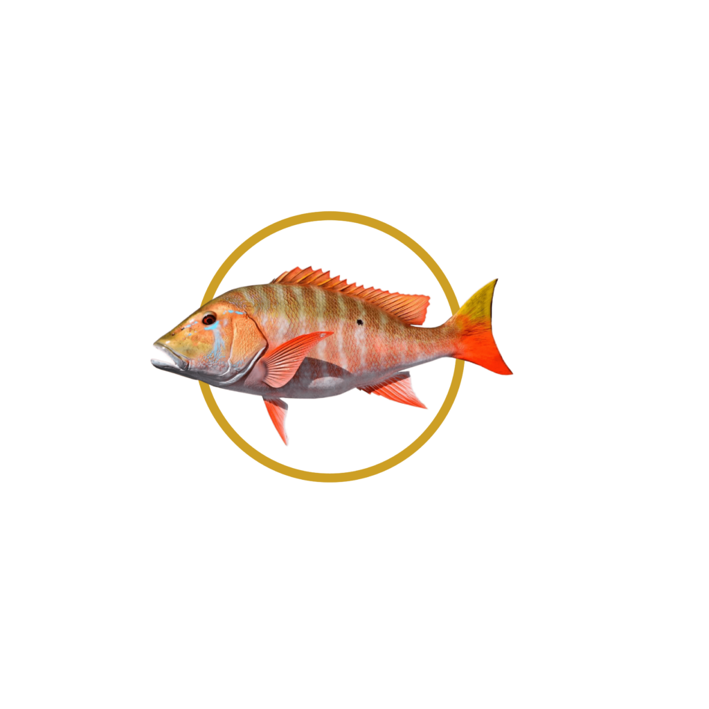 Cebal — Mutton Snapper