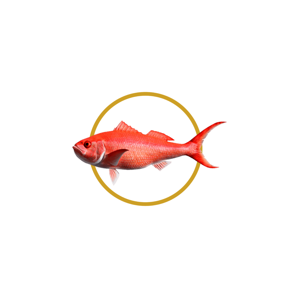 Conoro — Queen Snapper
