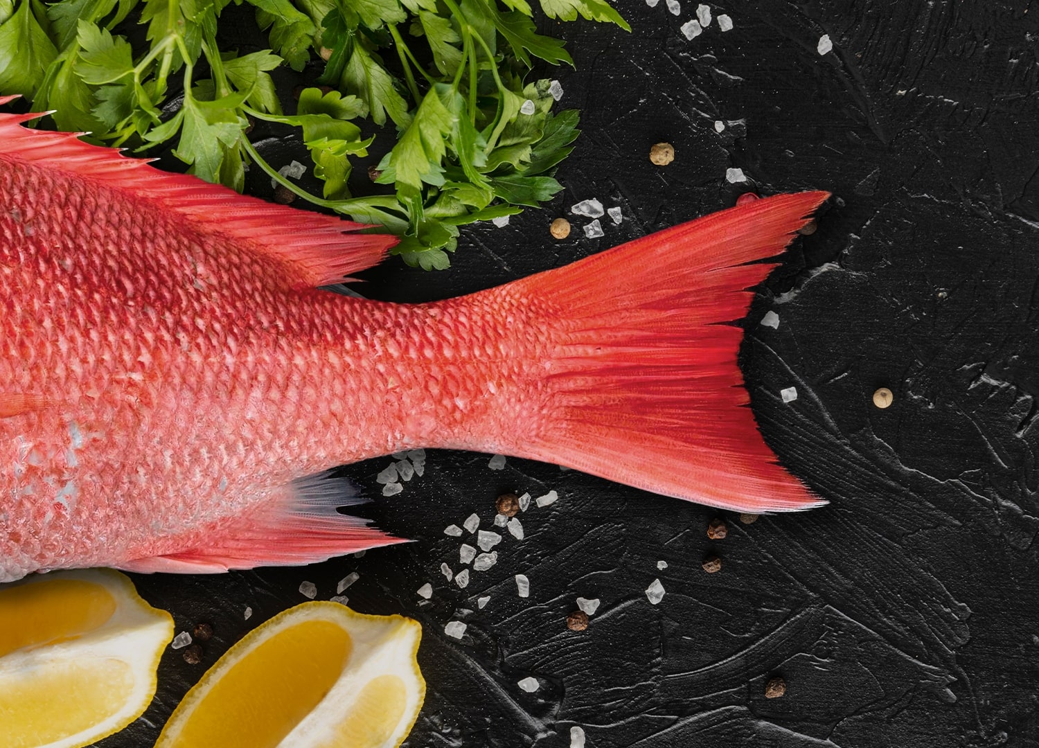 Pargo rojo fresco con perejil, limón y sal marina